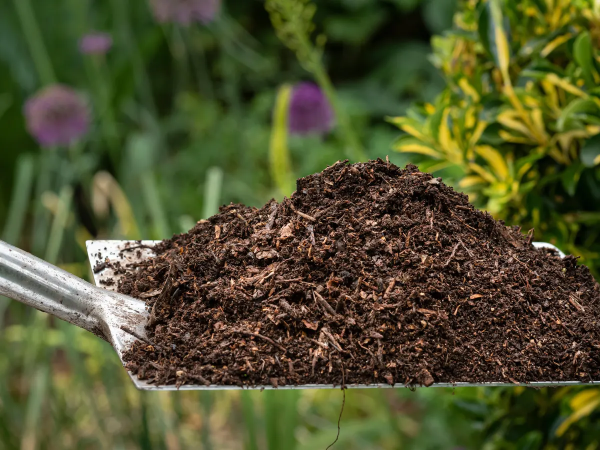Mulch