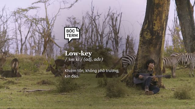 Bóc tem thuật ngữ lowkey là gì?