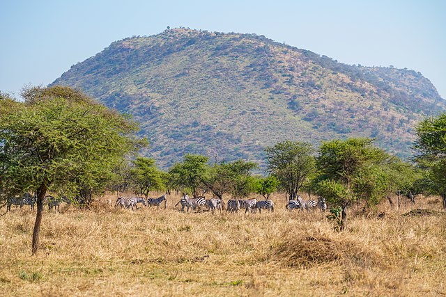 Serengeti National Park (Tanzania)