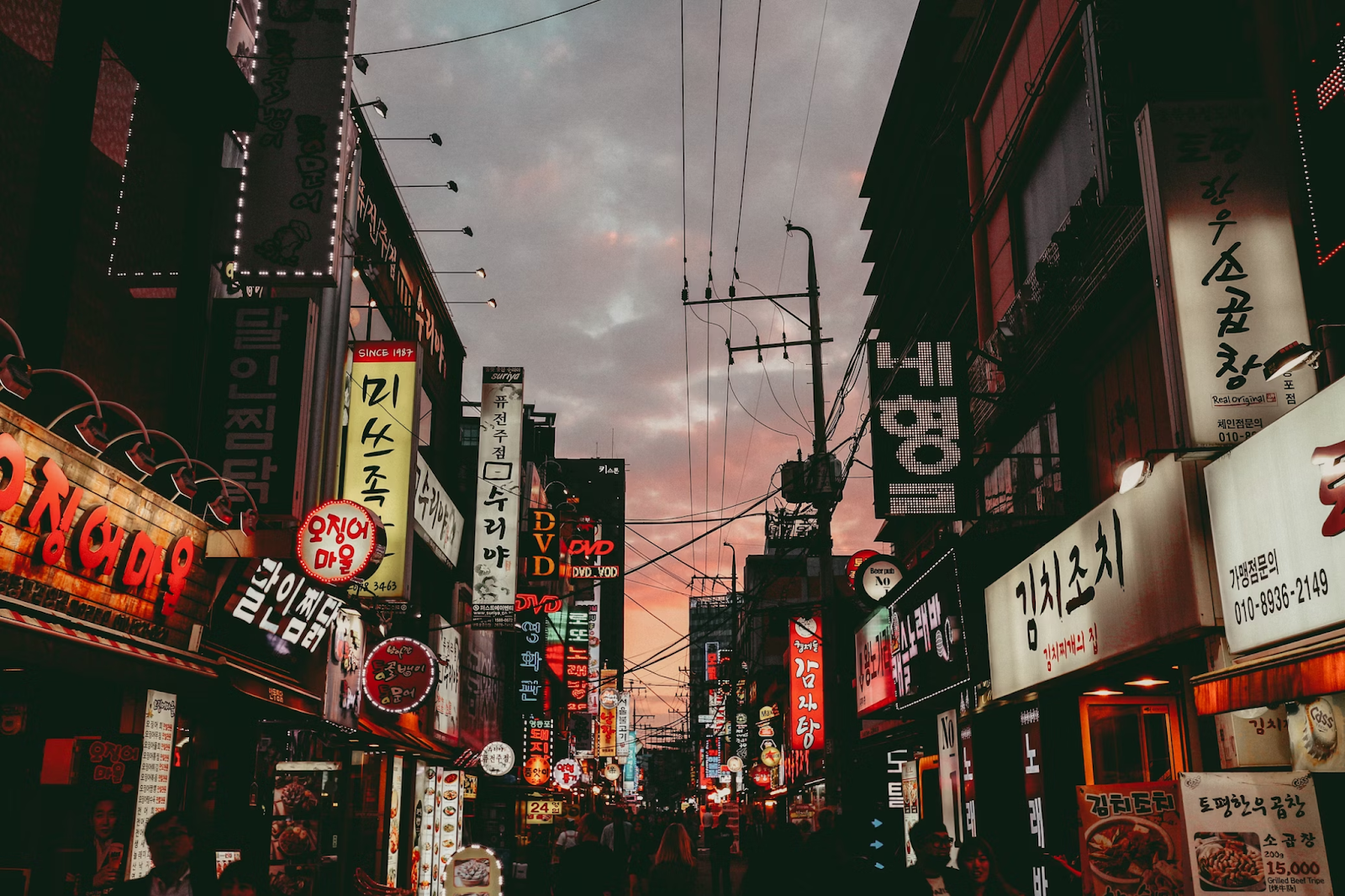 Korean city night life