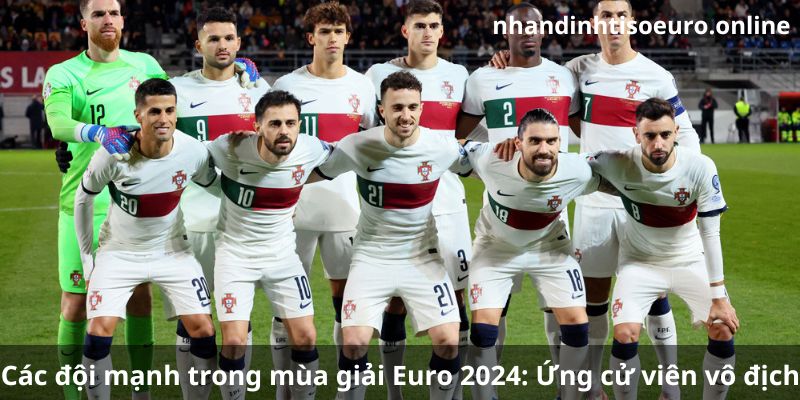 Giới thiệu về các đội mạnh trong mùa giải Euro 2024