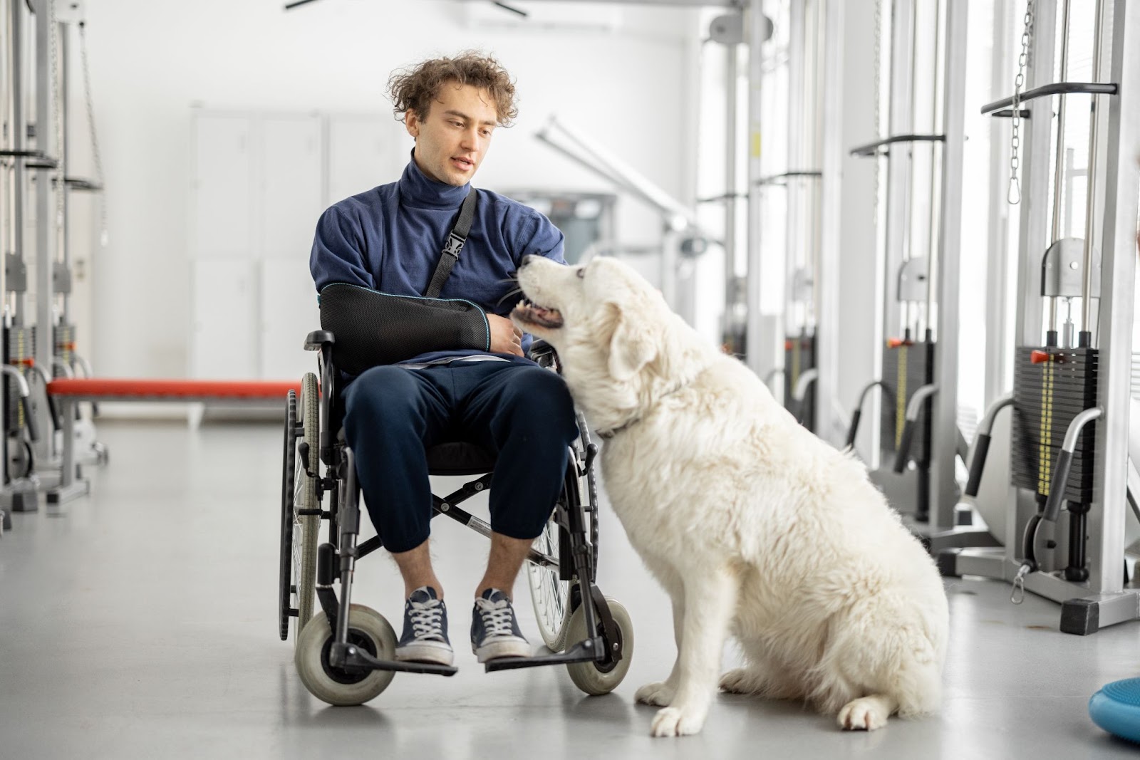 Man in wheelchair with his therapy dog