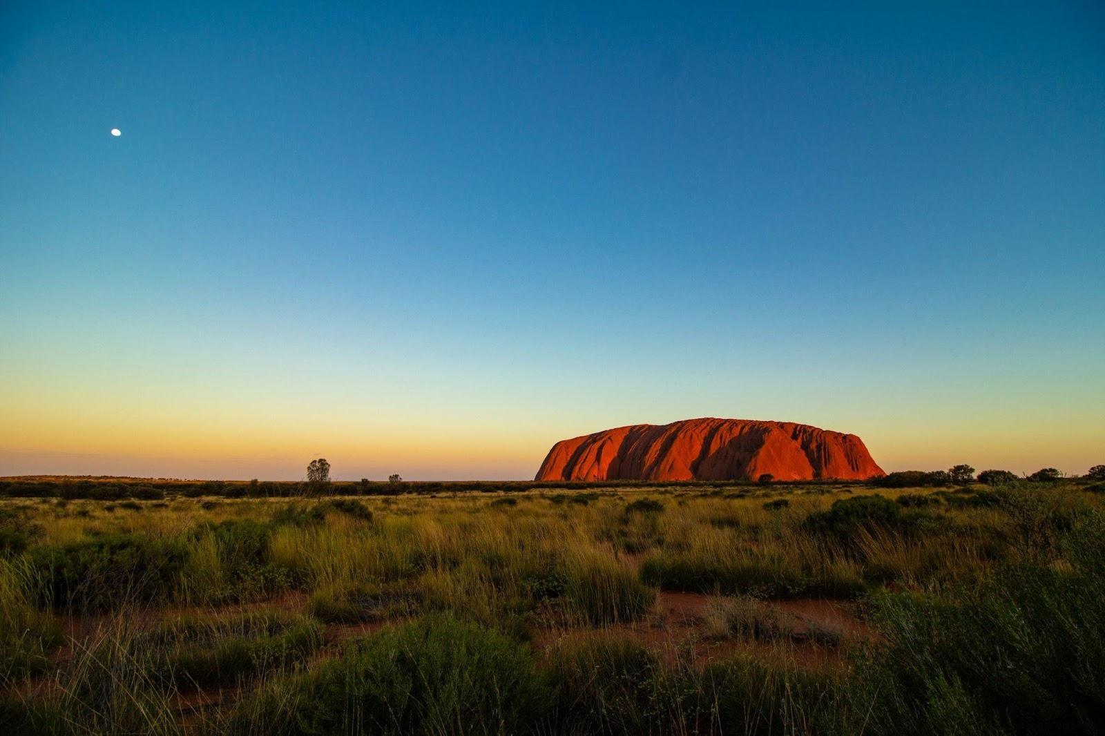 Discovering Australia: Your Passport to Unique  Experiences 4