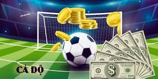 Instructions on How to Watch Soccer Betting for Beginners