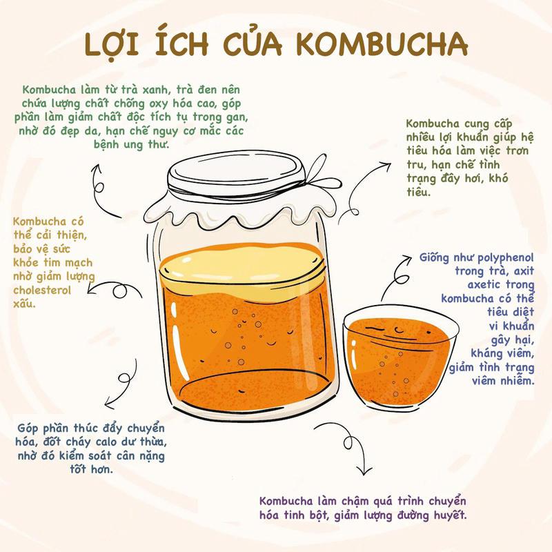 Tác dụng trà kombucha chứa nhiều có chất lợi cho sức khỏe
