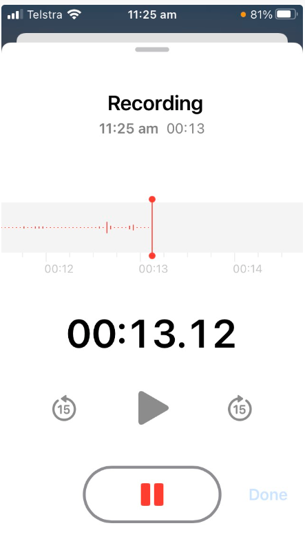 Steps to Do Audio Recording Using Voice Recording App on iPhone