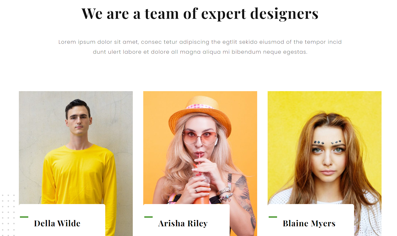 27 Best About Us and About Me Page Examples of 2024 [+Templates]