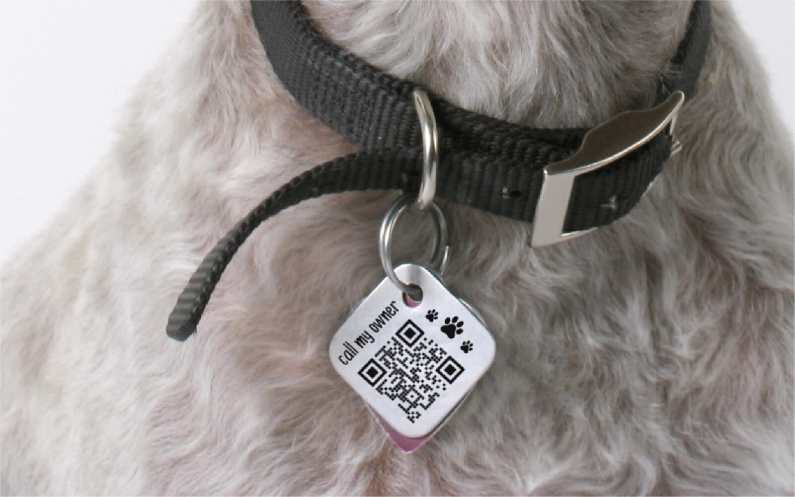 QR code on a dog tag