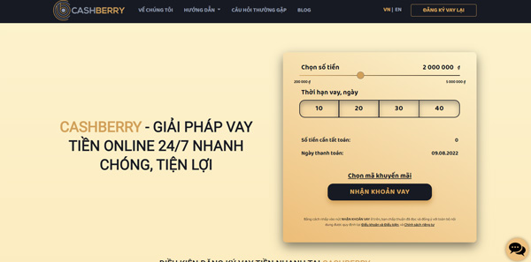 CashBerry là gì? Hướng dẫn vay CashBerry nhanh nhất