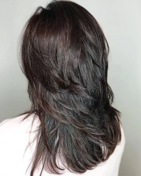  Flicked Layers in Shiny Black Haircut