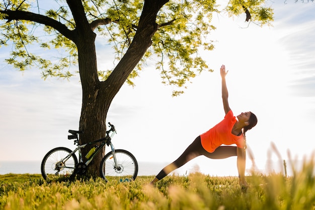 Elevate Exercise Sporty Bliss
