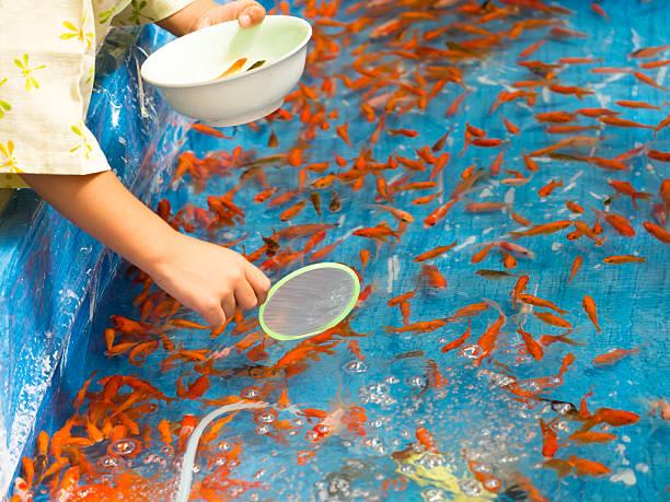 goldfish scooping juego - foto de stock