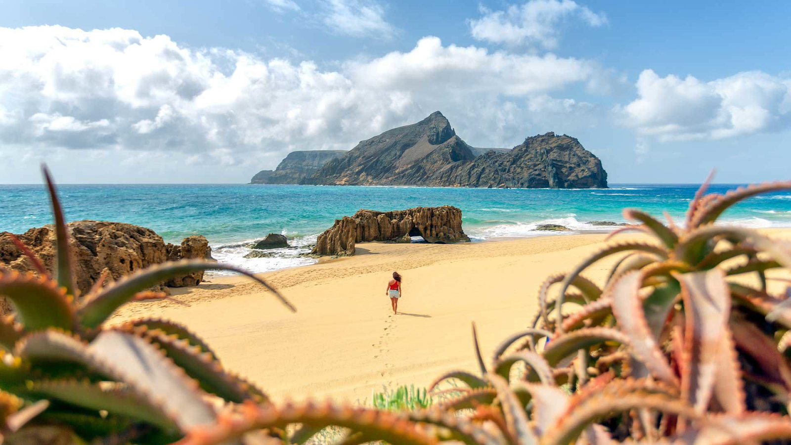 Enjoy In The Serenity Of Porto Santo 