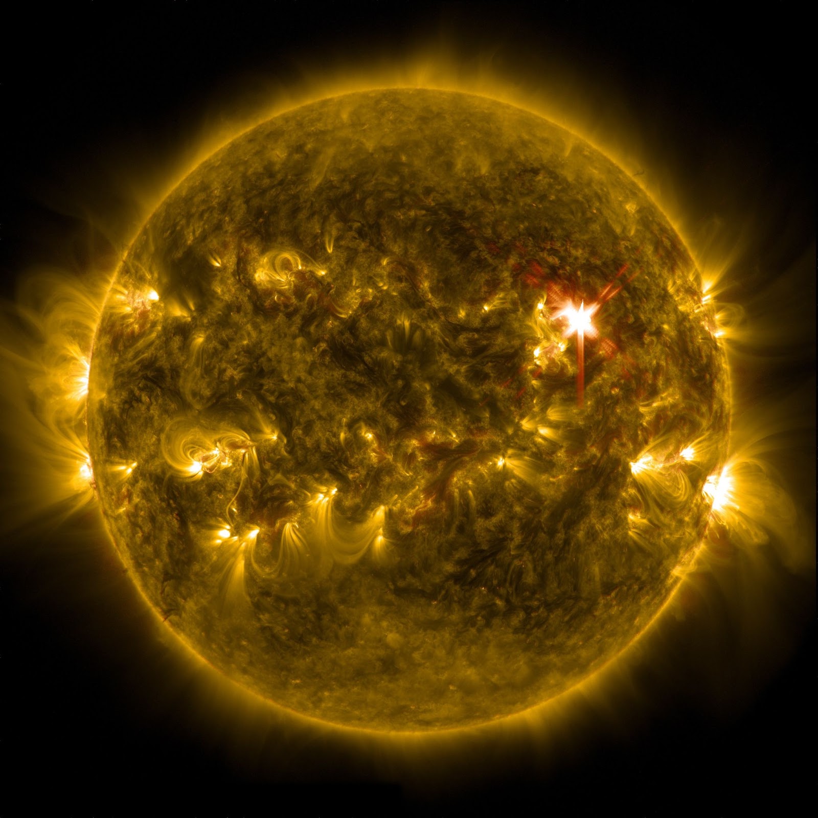 Solar flare and Shock Wave in the Sun’s atmosphere
