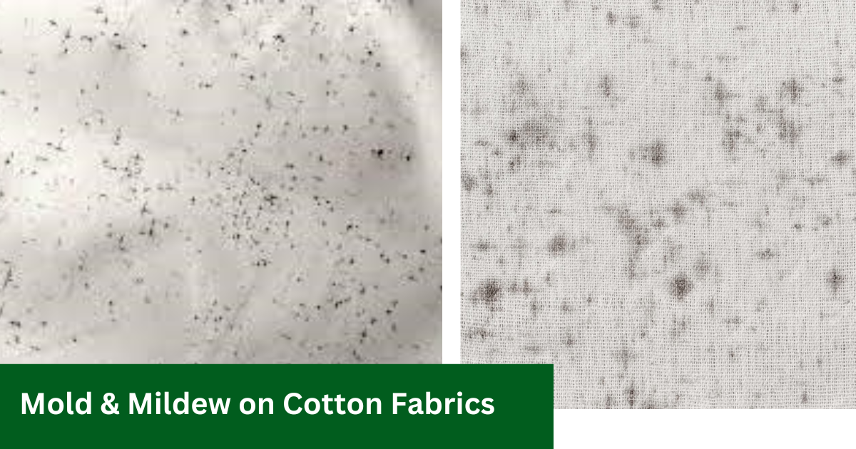 mildew on cotton clothes how to get rid off it 