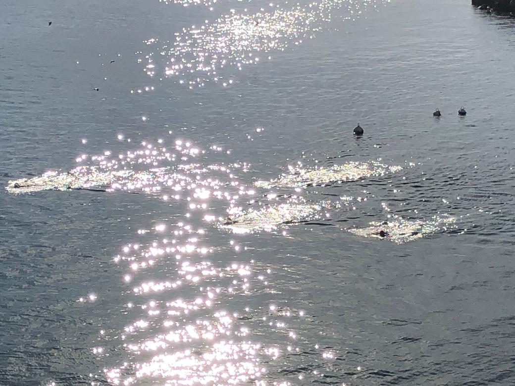 A group of people swimming in the water

Description automatically generated