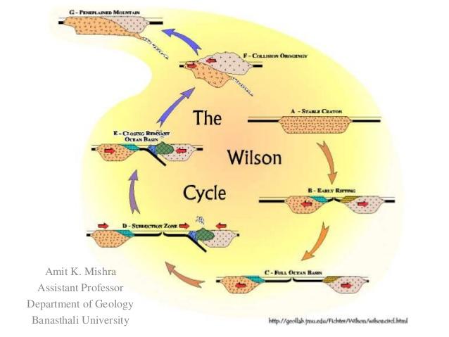 Image result for wilson cycle