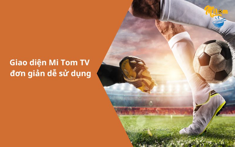 Mitom TV – Kênh trực tiếp bóng đá chất lượng nhất thị trường-3