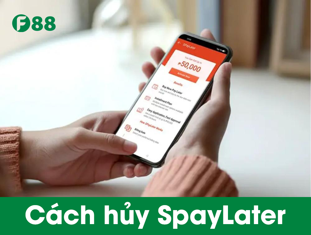 Hủy SpayLater