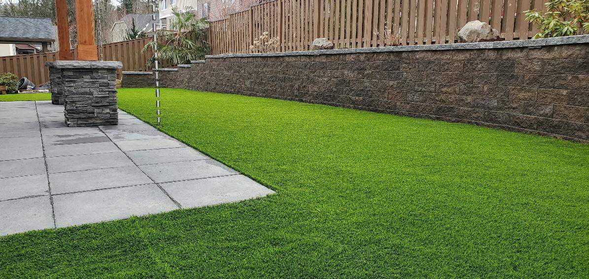 A grass lawn with a stone path