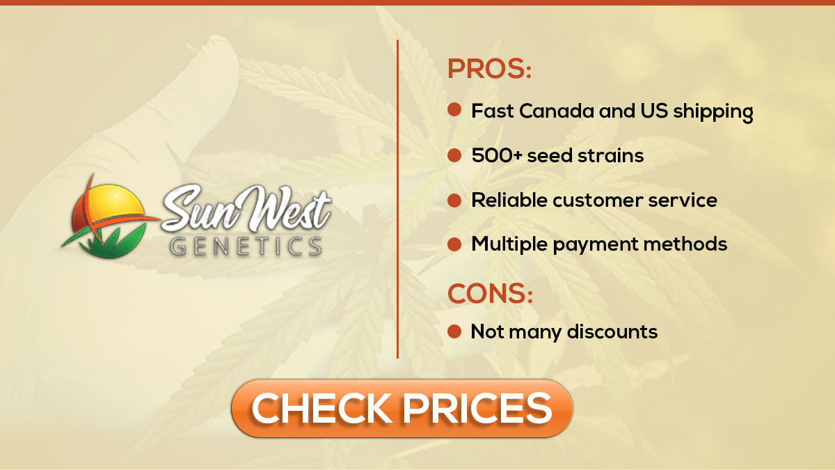 10 Best Seed Banks That Ship To The USA: Buy Marijuana Seeds Discreetly ...