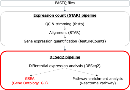 Basepairの「DESeq2」パイプラインのワークフロー。エンリッチメント解析が含まれています。