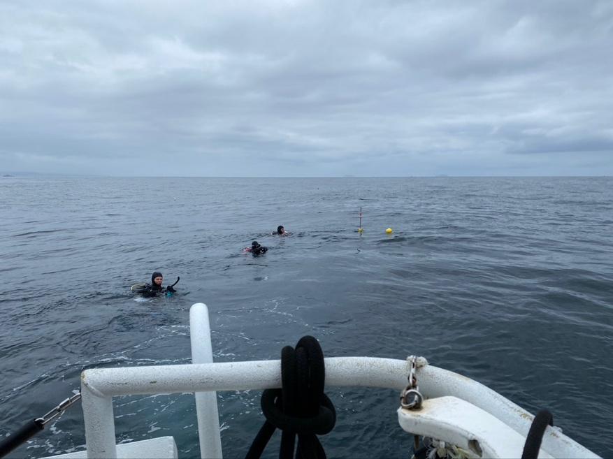 A group of people in the water

Description automatically generated