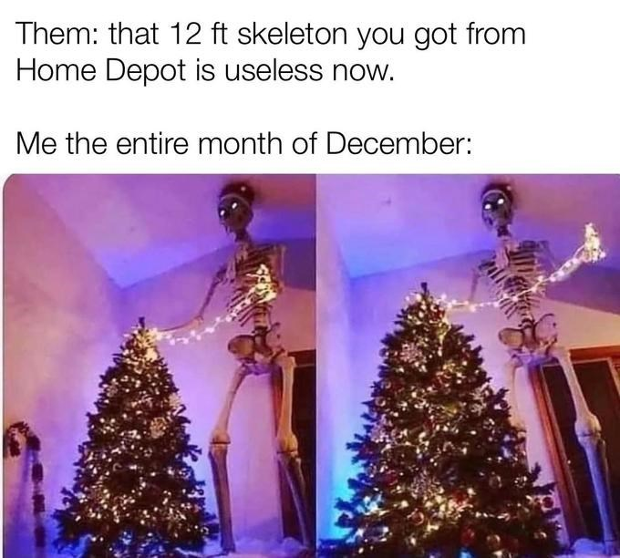 Caption:

Them: that 12ft skeleton you got from Home Depot is useless now.

Me the entire month of December:

Photos of 12ft skeleton inside a house, holding Christmas lights as if decorating the top of a lit Christmas tree.