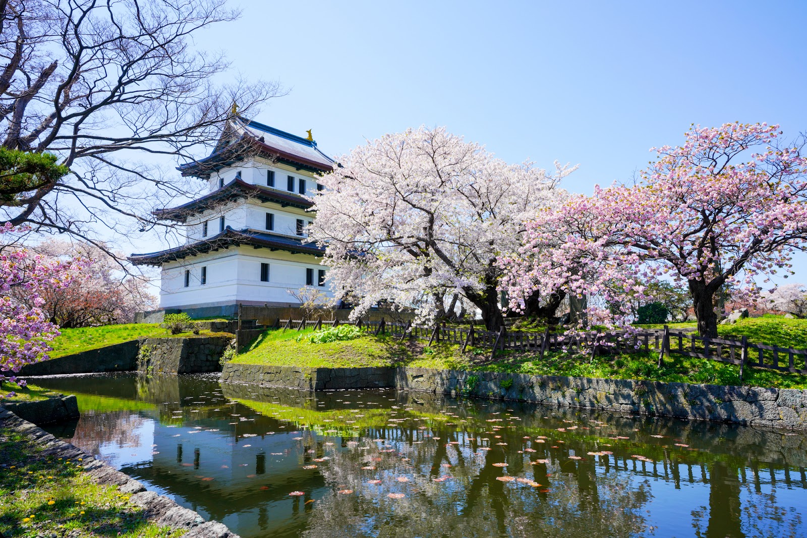 7.松前町「松前公園」