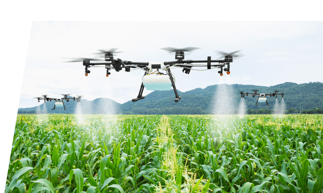 C:\Users\PROCONTEC LTD\Desktop\Agritech Digest Kenneth\How foods are grown images\Agriculture.png