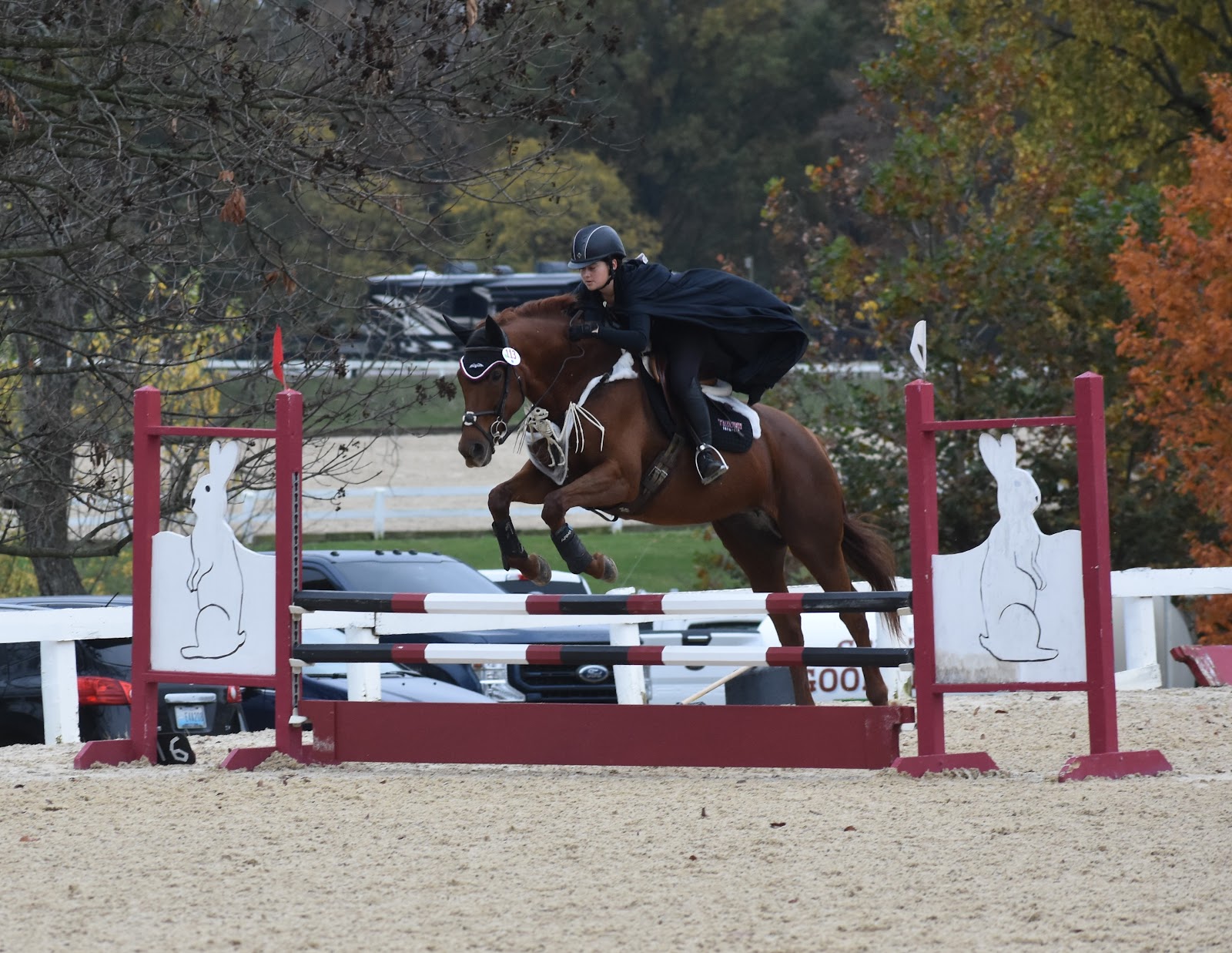 Transy Eventing celebrates Halloween at Octoberfest Horse Show