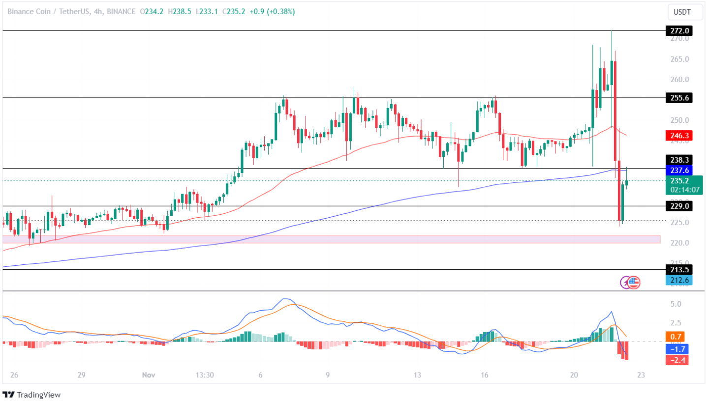 BNB Coin Price Analysis