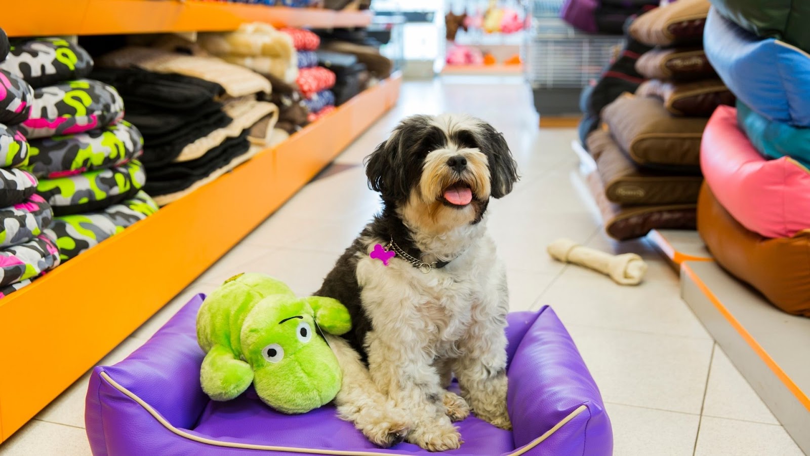 Washable Pet Beds