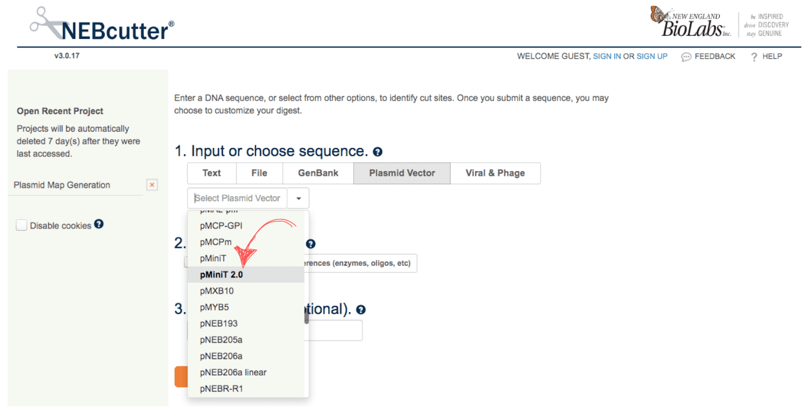 Plasmid restriction map tutorial 2