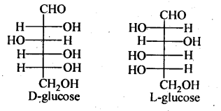 Biomolecules Chemistry Class 12 Notes