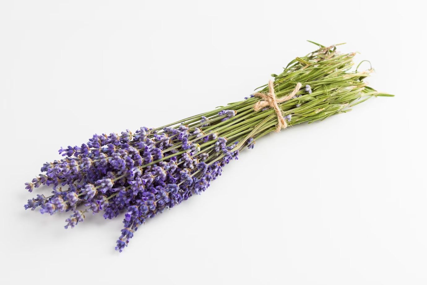 Come curare la lavanda?