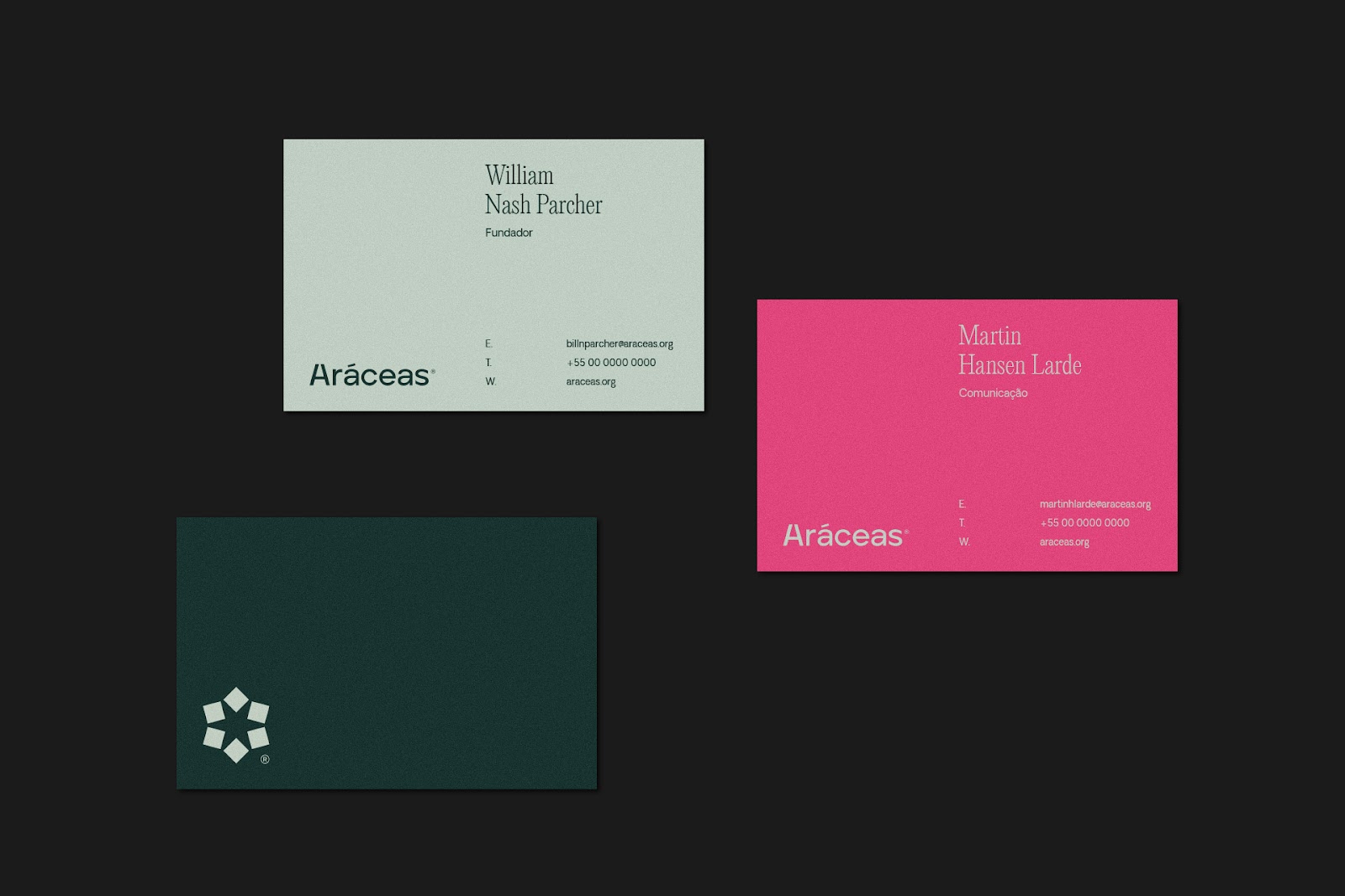 Artifact from the Aráceas Branding & Visual Identity in Academia article on Abduzeedo