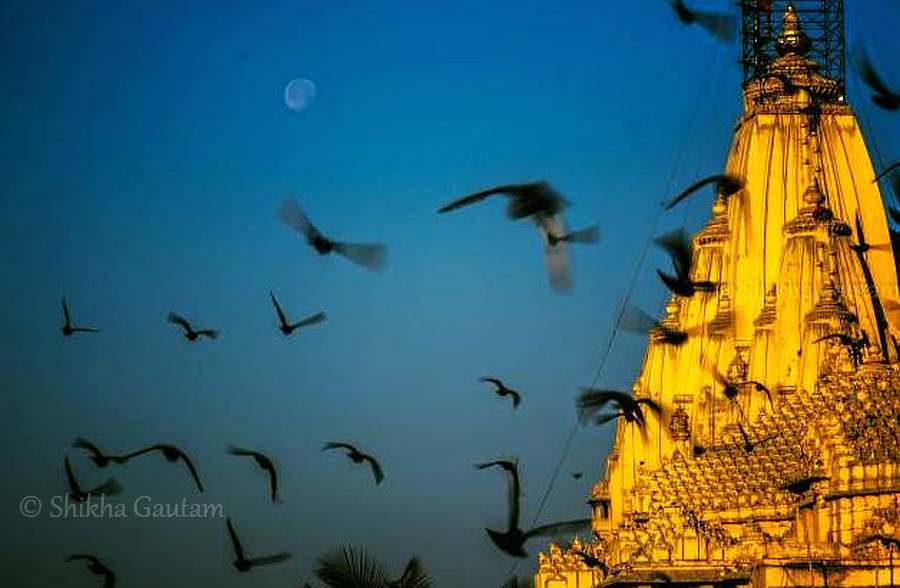 Somnath Temple, Veraval, Gujarat, India. Offbeat India Tour Ideas