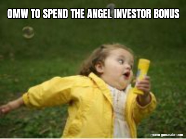 Why do you need an angel investor?