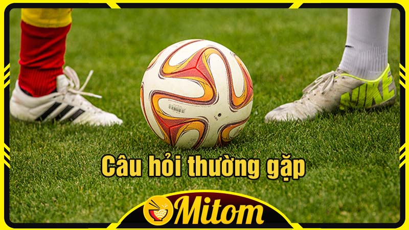 MitomTV - Trang xem bóng đá được yêu thích nhất ở Việt Nam-2