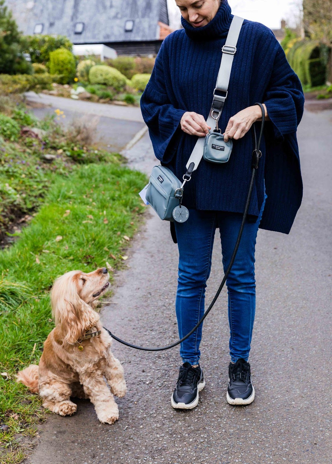Dog Walkings