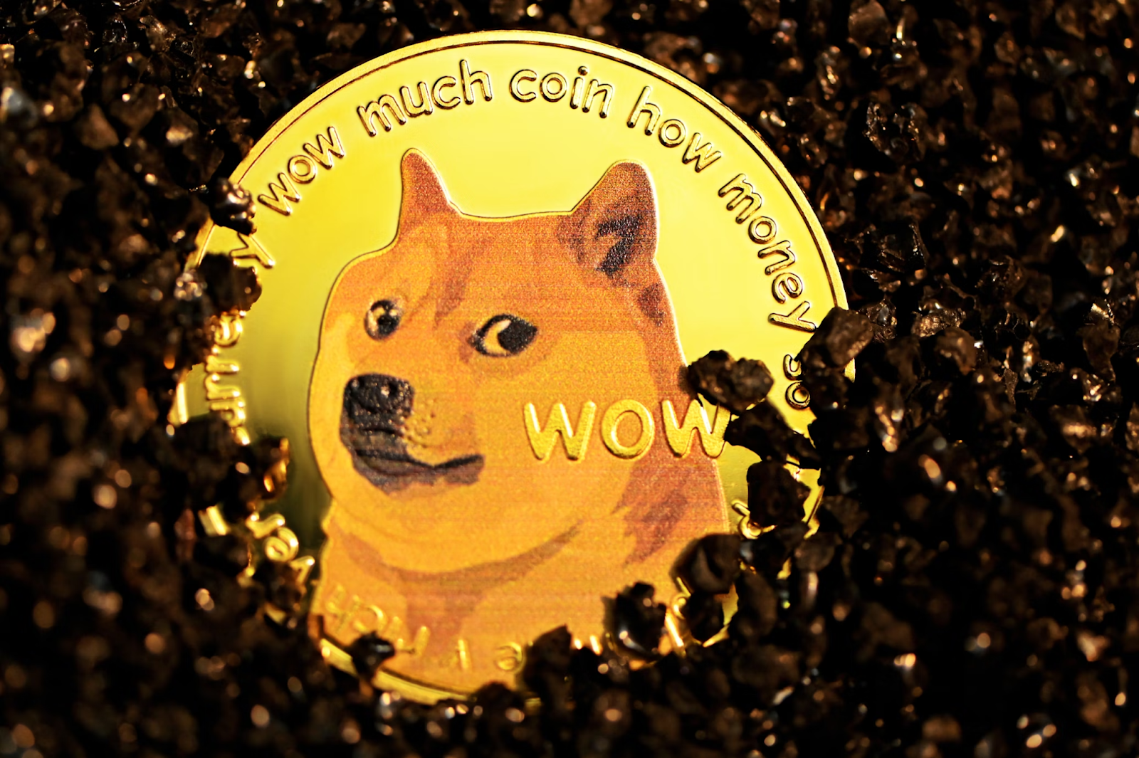 The Shiba Inu Community's Strategy with Token Burns
