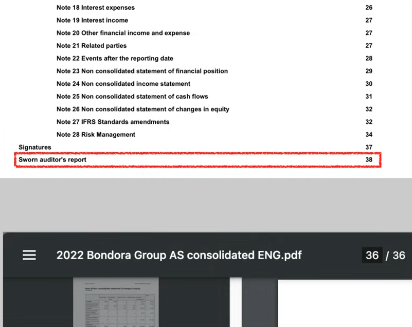 Inhaltsverzeichnis Jahresabschluss vs. PDF Jahresabschluss Bondora