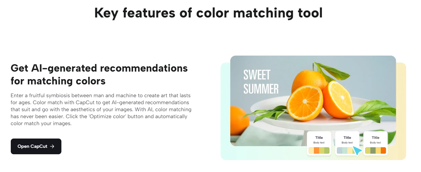 A close up of an orange  Description automatically generated