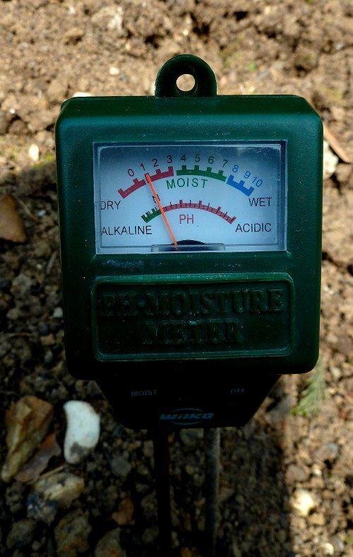 Soil's Ph Level