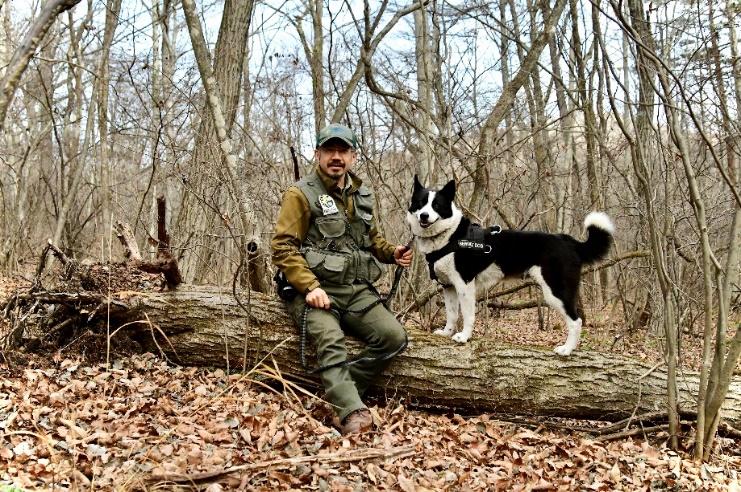 森の中にいる犬と男性

中程度の精度で自動的に生成された説明
