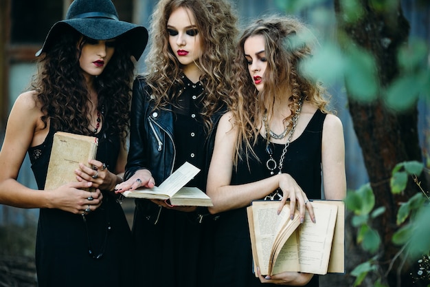 Stylish Saga Fashion Tales