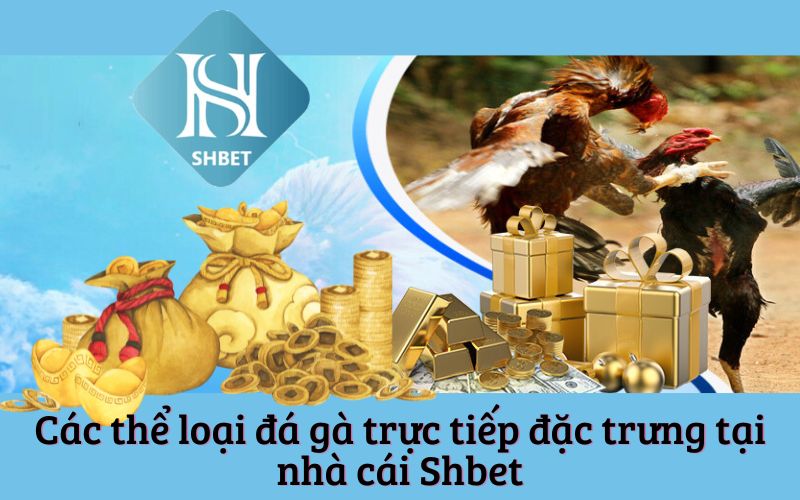 Các thể loại đá gà trực tiếp đặc trưng tại nhà cái Shbet