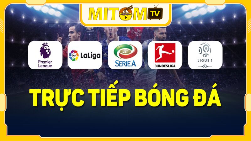 Mitom TV - Kênh trực tiếp bóng đá miễn phí số 1 Việt Nam