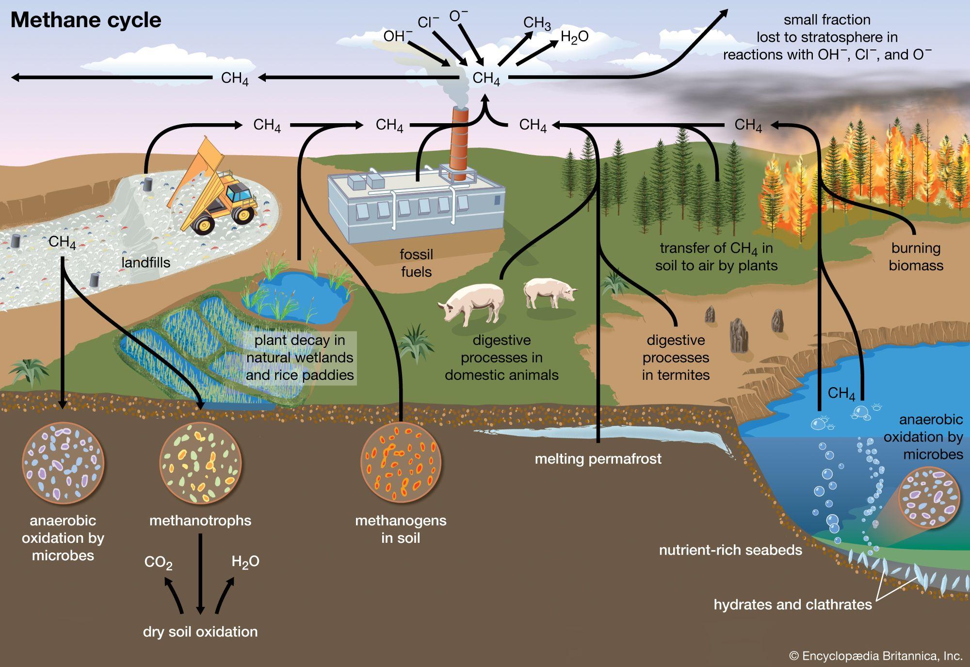 Greenhouse gas - Methane, Climate Change, Emissions | Britannica